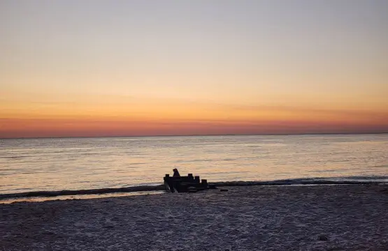 0ee049d232dd41c29c009f03fab7ce8e LargeOriginal