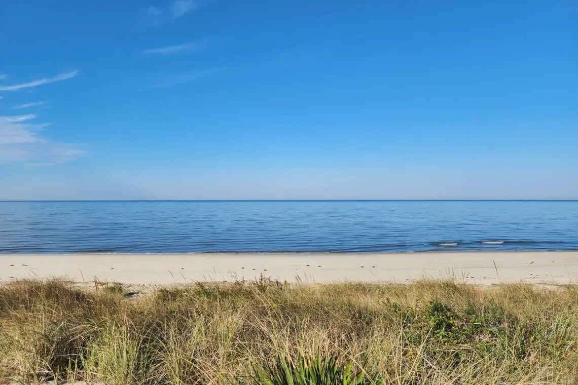 888c9498 fa8f 493a b4a1 a01f10d6d24a