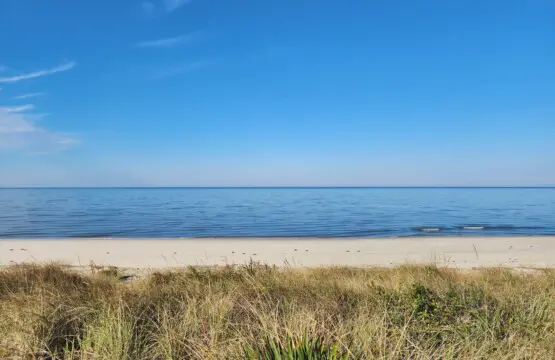 888c9498 fa8f 493a b4a1 a01f10d6d24a