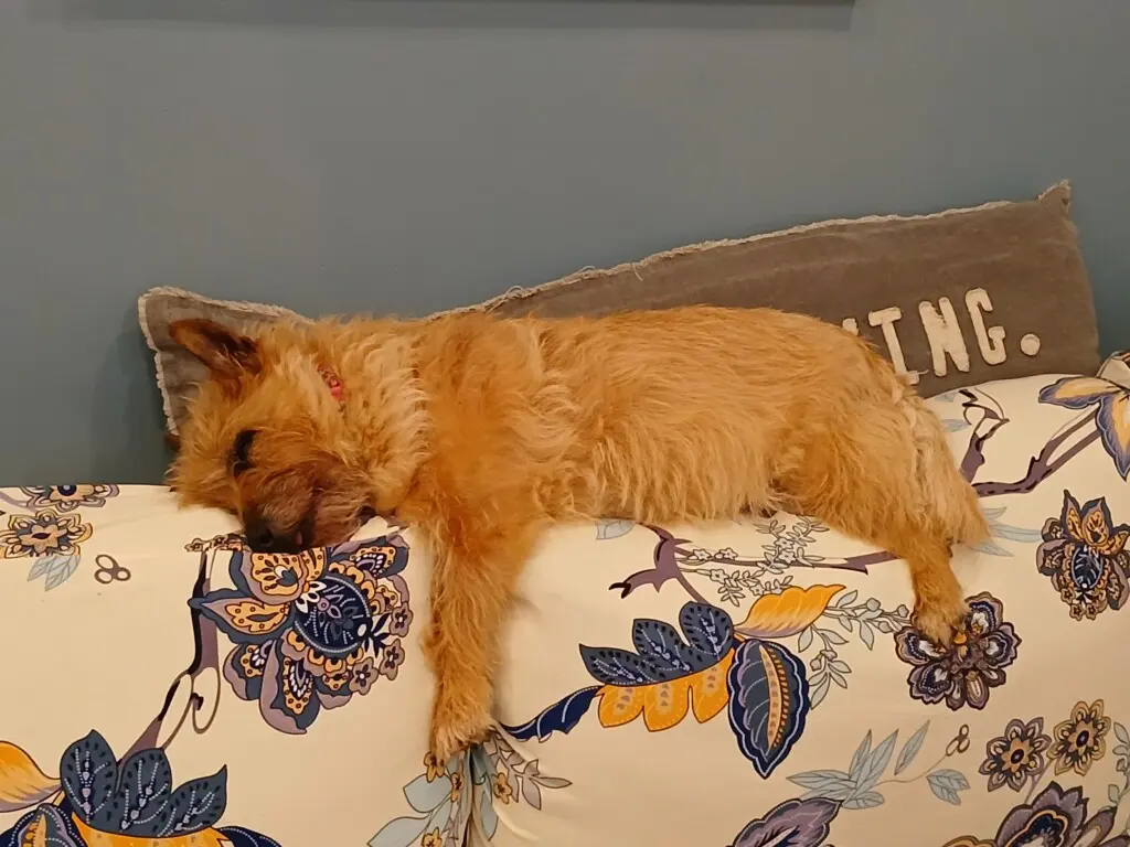 c63efaa5981540879b6ef7a9ff15360b LargeOriginal