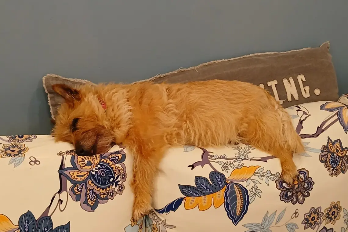 c63efaa5981540879b6ef7a9ff15360b LargeOriginal