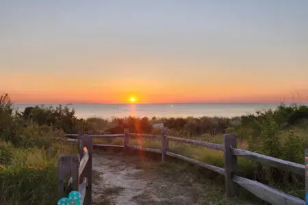 c93f6541e6fc424fb8ffa1a63a82fa37 LargeOriginal