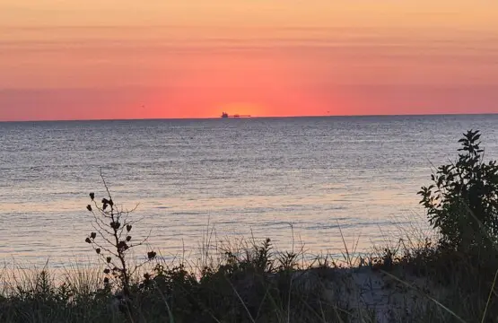 d6fcb571aea642b2907b663e6d6cd772 LargeOriginal