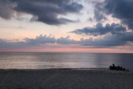 e73d88d65a0a4f67b6ab219824025124 LargeOriginal