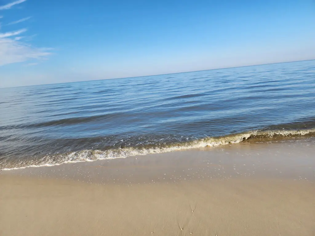 fb1d353f22c44b84a84749188901b121 LargeOriginal