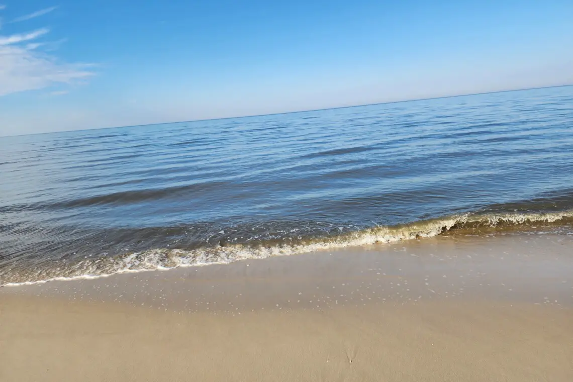 fb1d353f22c44b84a84749188901b121 LargeOriginal